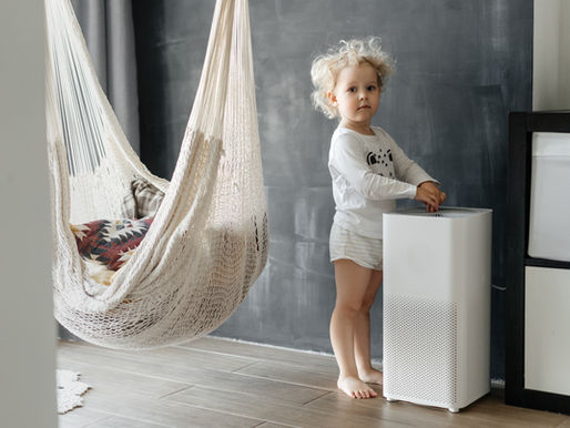 3 Science-Backed Ways to Improve Your In-Door Air Quality