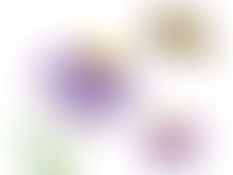 The Case for Beekeeping at Home