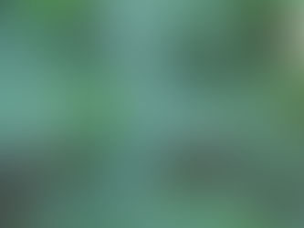 צמחי מרפא וחומר