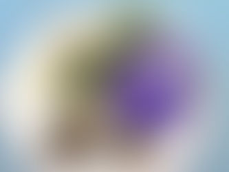 The BDS Movement and Ancient Roots Herbal Conference