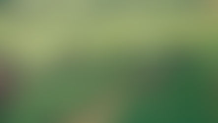 A scene showing green fields with a single wind turbine