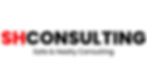 SHCONSULTING kapak_Çalışma Yüzeyi 1 kopya 4.jpg