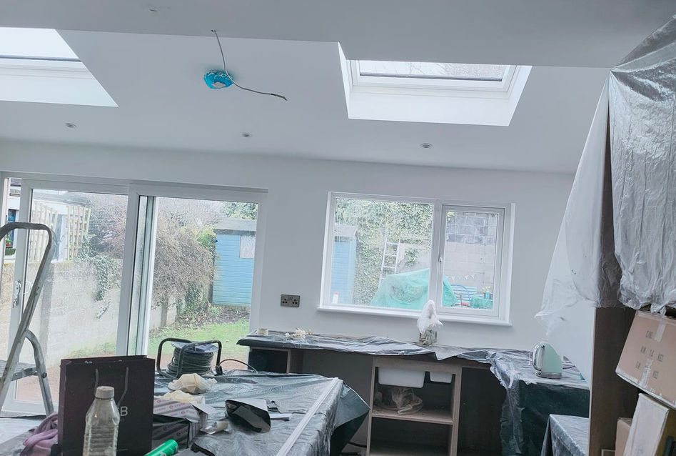 Dublin Painting and Restoration Wise Contractors (115).jpg