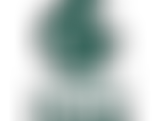 Chartered Institution of Civil Engineering Surveyors (CICES)