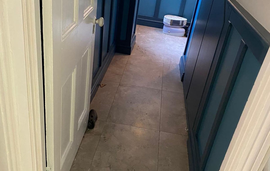 Dublin Gergian Restoration Dublin Wise Contractors (5).jpg