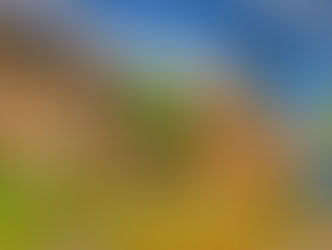 HERITAGE CONSERVATION