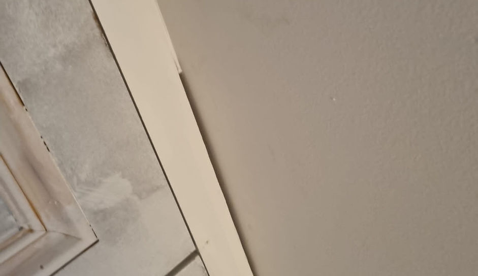 Wise Contractors Painting Custom Joinery (4).jpg