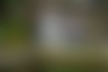 Can I build a pond, path, decking or landscaping works without permission?