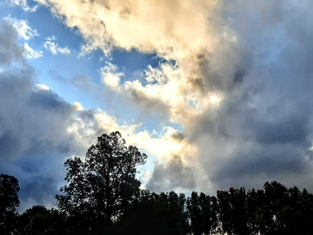 Pastoral Letter - 22nd October