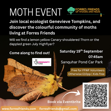 Moth Event 2026.png