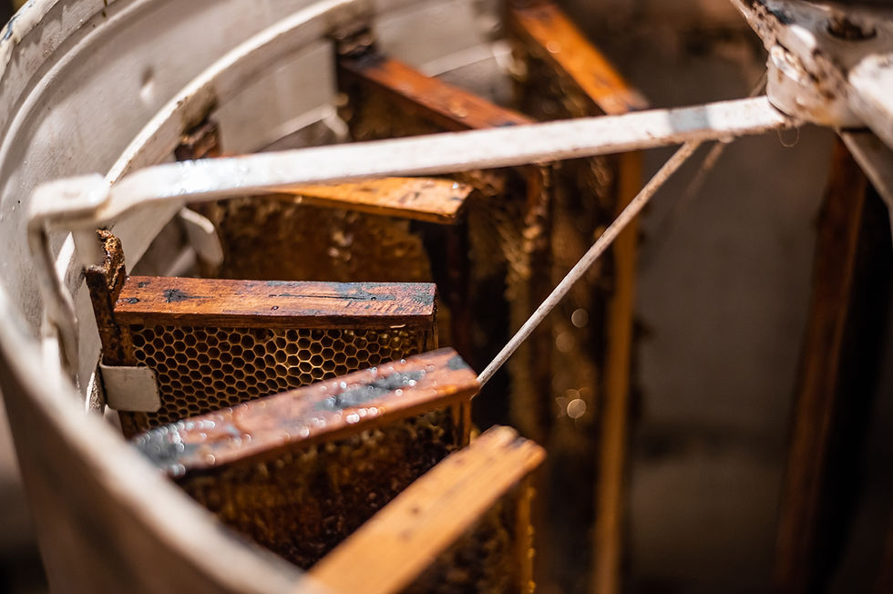 Close-up of a honey extractor with wooden frames and honeycomb. The machine is metal, with a warm, rustic feel and soft lighting.