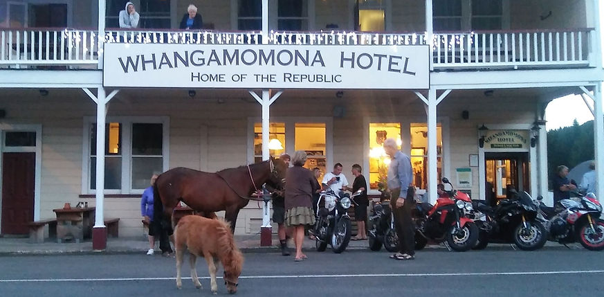 Forgotten World whangamomona pub