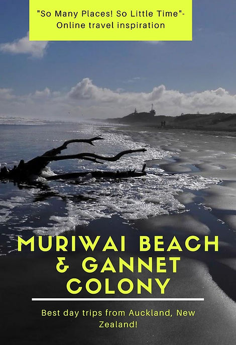 MURIWAI (Pinterest 2).jpg