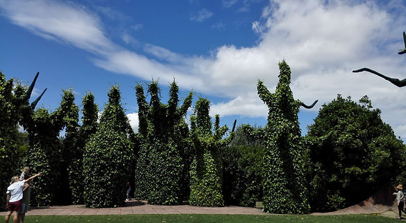 The Surrealist Garden