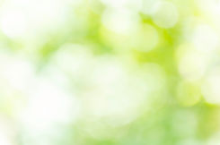 shutterstock_602529353.jpg