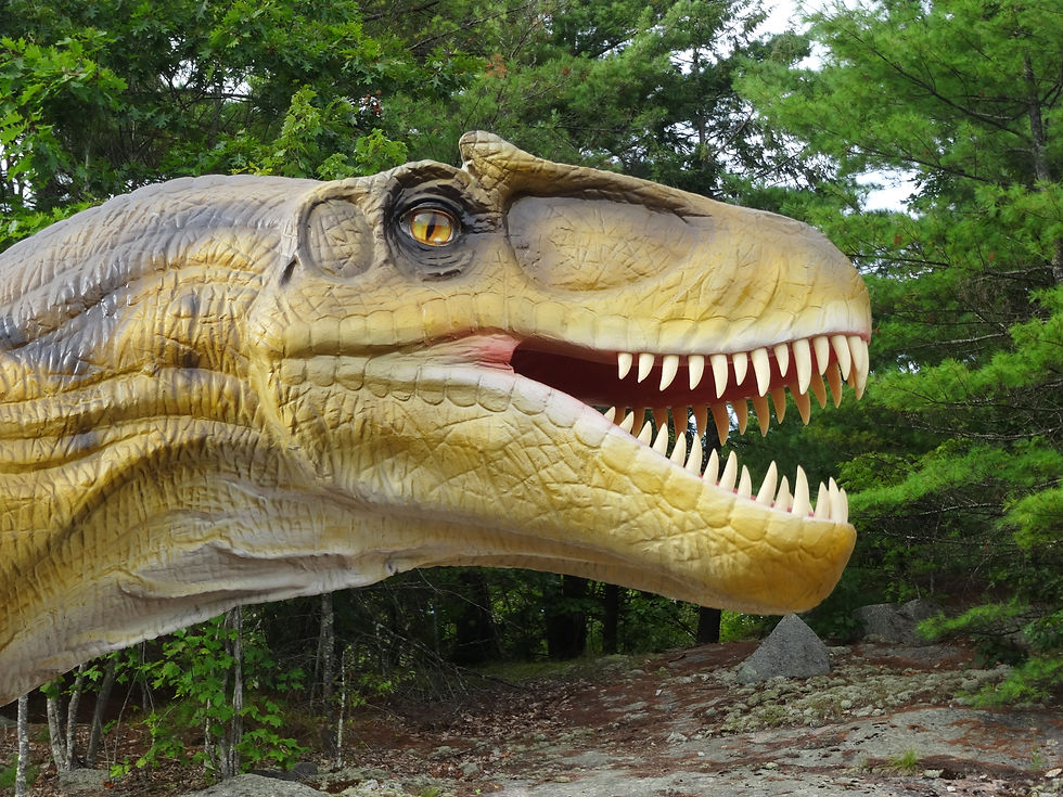 Brachiosaurus close up