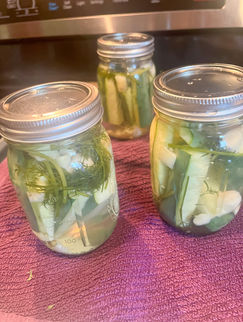 sealed pickle spears with dill and garlic