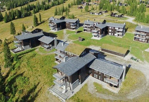 Oversiktsbilde av tak med norsk skifer i naturlandskap