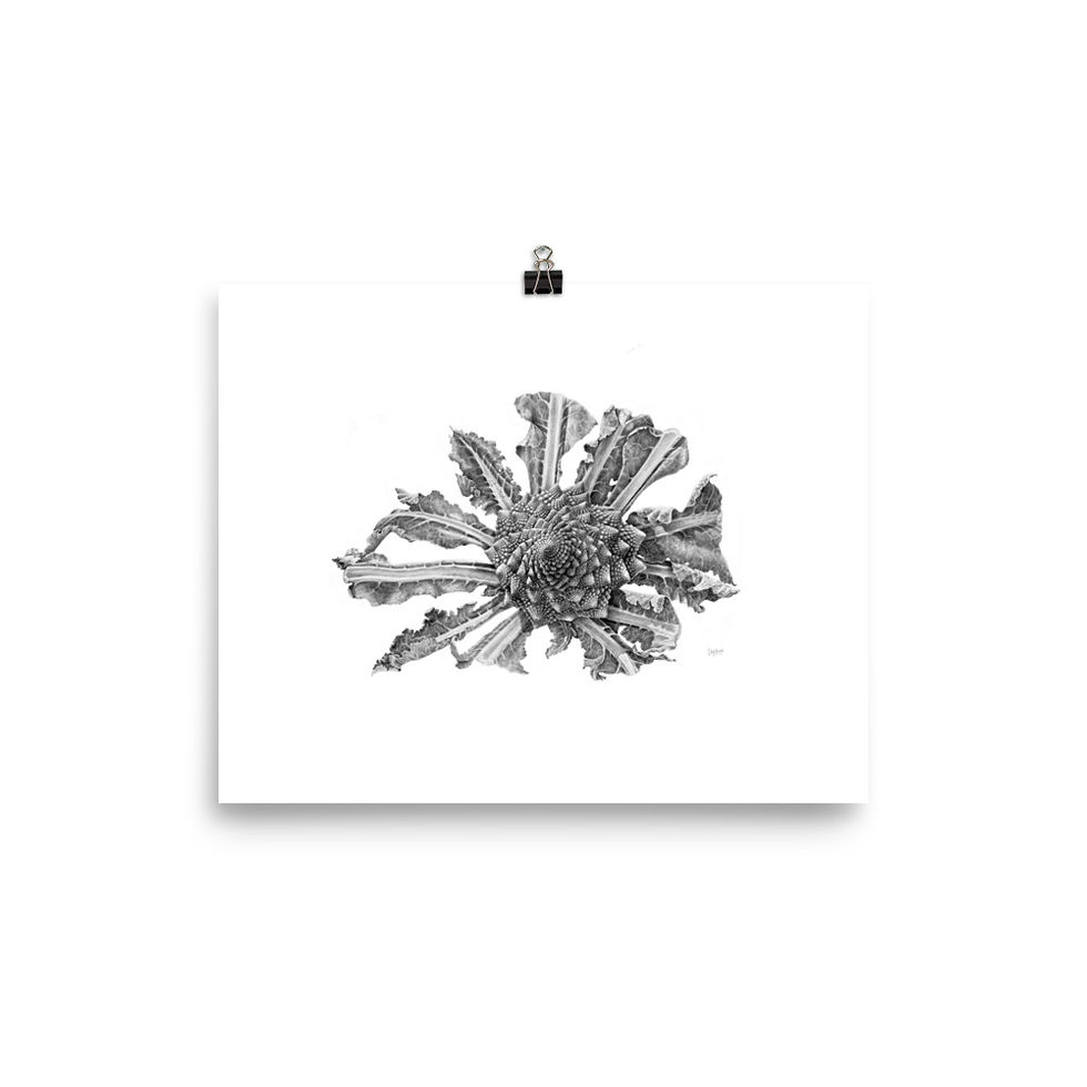 Thumbnail: Romanesco Broccoli Giclee Print Unframed - choose size
