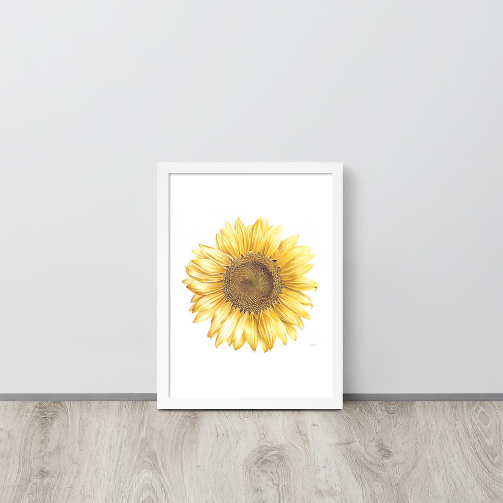 Thumbnail: Sunflower Giclee Print Framed - choose size/colour