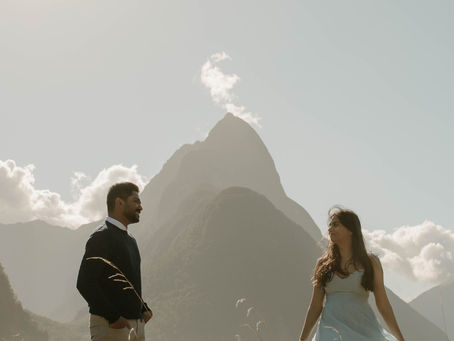 A Magical Evening in Milford Sound: A Surprise Engagement