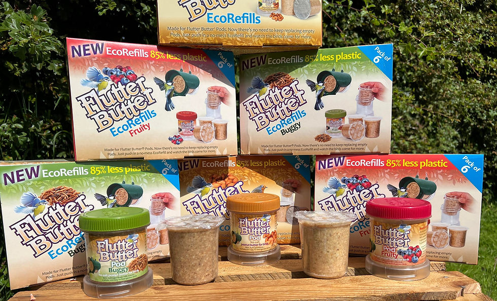 Thumbnail: Jacobi Jayne FlutterButter Eco Refills pack of 6