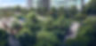 chuan park lush greenery