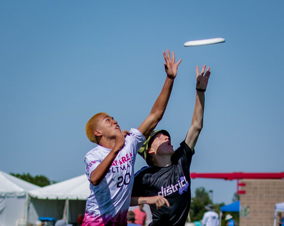 2024 Aftershock2024 Happy Cows - UltiPhotos