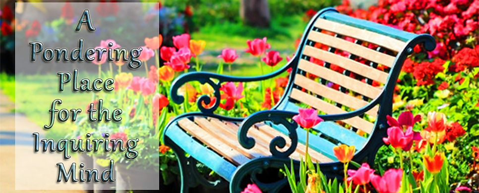 A picture of a slatted wooden bench in the sunshine in a beautiful garden surrounded by tulips and flowers. The title on the picture is 'A Pondering Place For The Inquiring Mind'. Have a read, there's some interesting stuff here.