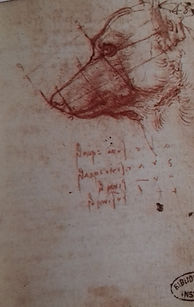 20190411_192018.jpg