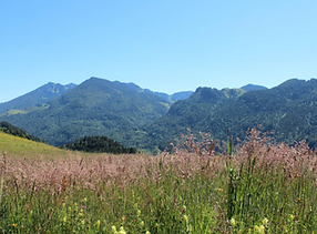 Screenshot 2025-12-15 at 19.47.20.png