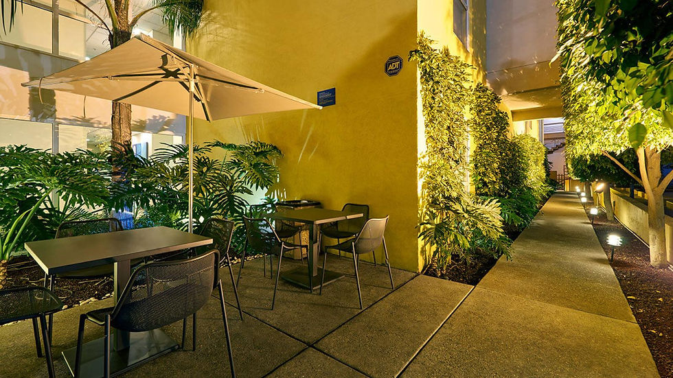 hotel-san-luis-potosi-zona-universitaria-city-express-terraza