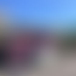 シェイク・フローズン営業終了