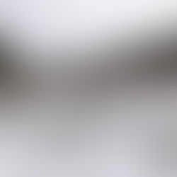 雪が積もりました❆