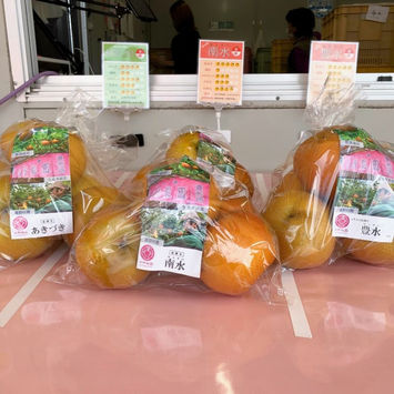 豊水箱詰品受付再開