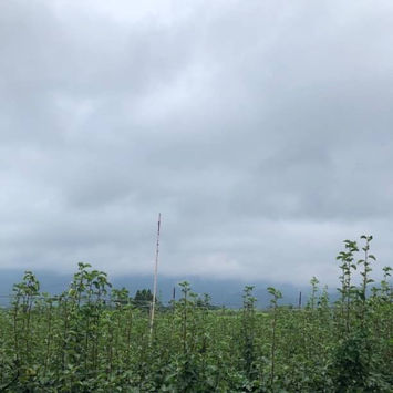 9/18(日)臨時休業します