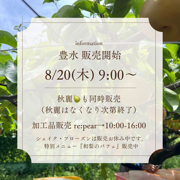 豊水 販売開始のお知らせ🍐
