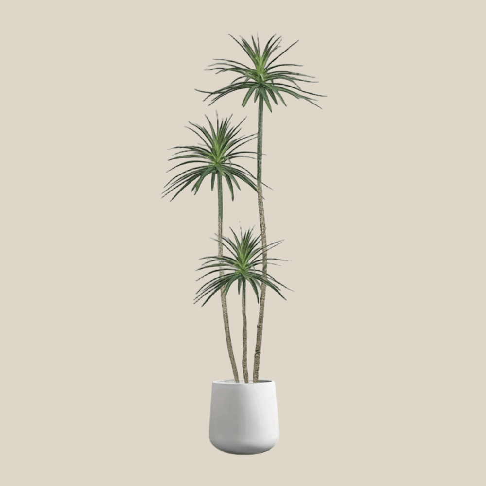 龍樹
