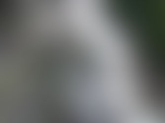 נדידת הטאואיסטים או Xiao Yao San והמודעות החופשית