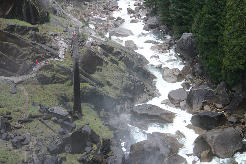 Rapids - the purpose of a dynamic management strategy