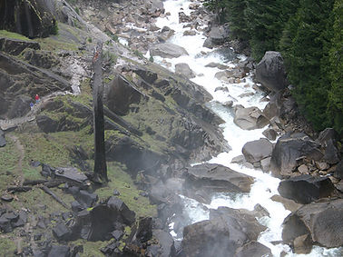 Mountain Stream View