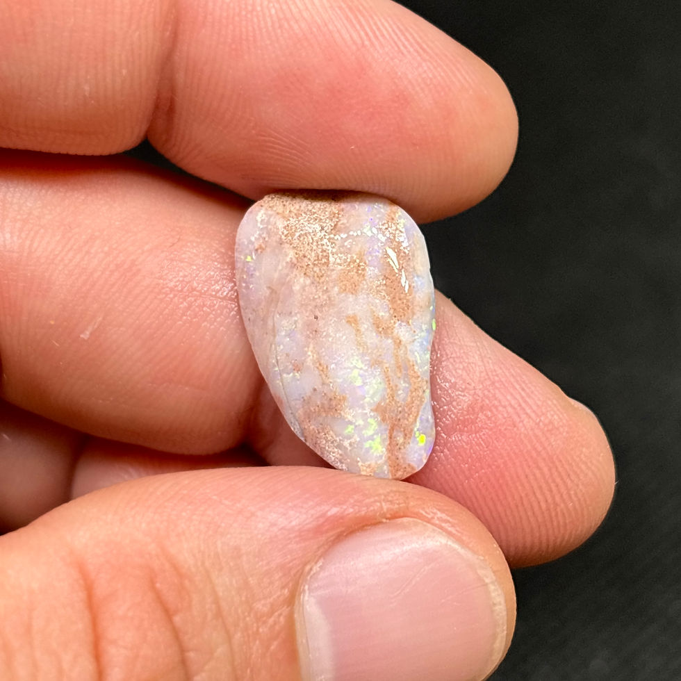 Thumbnail: Razzling Australian Lightning Ridge Rough Uncut Opalized Fossil Clam Shell