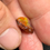 Thumbnail: Colorful Stunning Mexican Fire Opal Display Specimen For All Gemstone Lovers