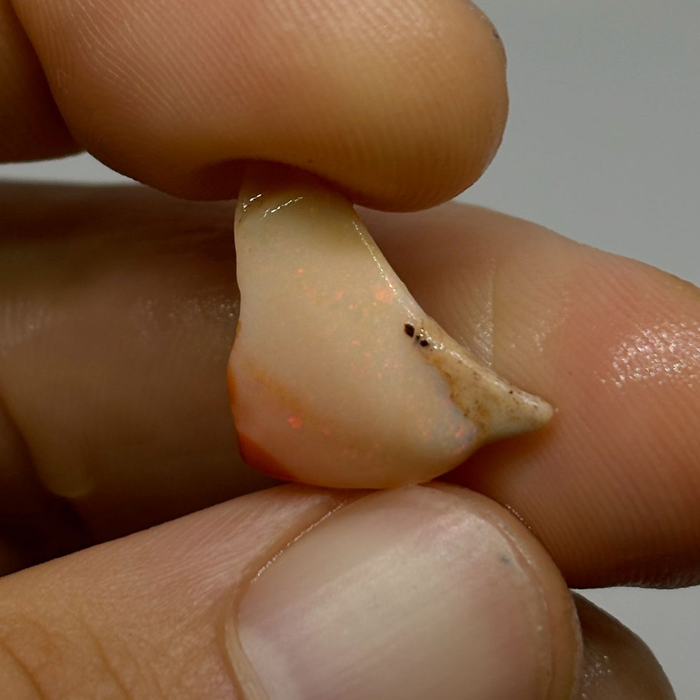 Thumbnail: Golden Pillared Mexican Fire Opal Stone Cutter