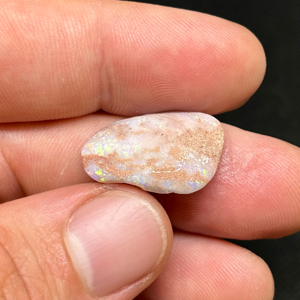 Thumbnail: Razzling Australian Lightning Ridge Rough Uncut Opalized Fossil Clam Shell