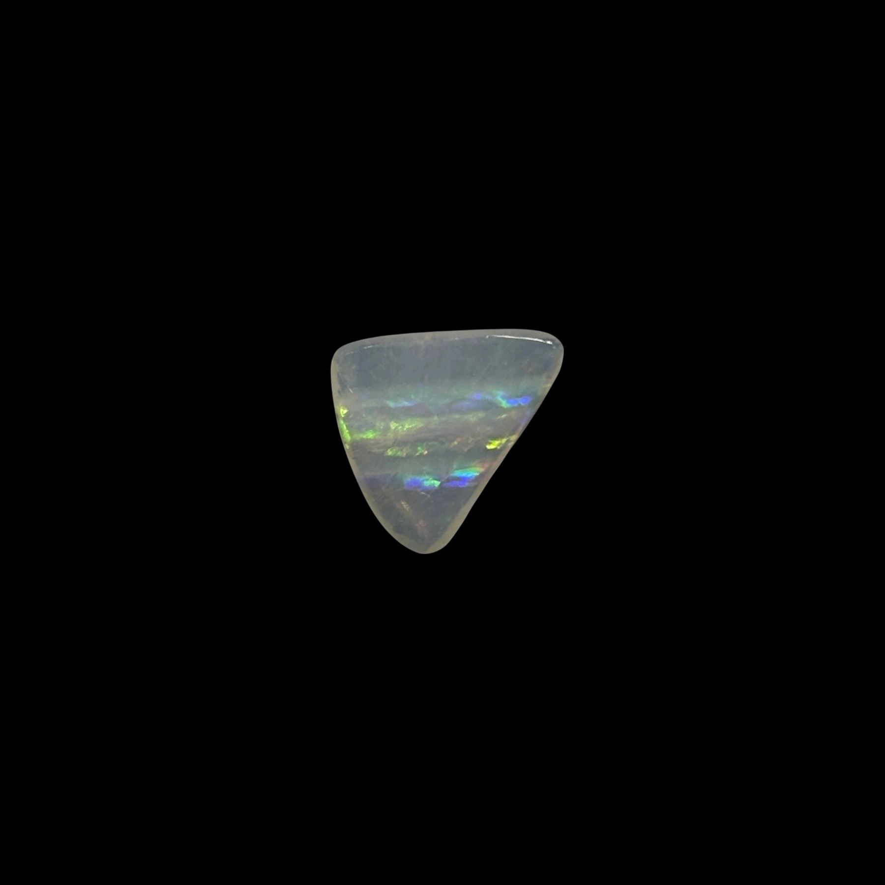 Polished Australian Lambina Canine Tooth Opal Stone