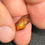 Thumbnail: Colorful Stunning Mexican Fire Opal Display Specimen For All Gemstone Lovers