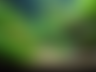 Biotope Correct Designs for Authentic Aquarium Scapes