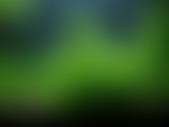 Top Aquatic Botanicals for Black Water Tanks