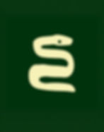 elemento7_verde_edited.jpg